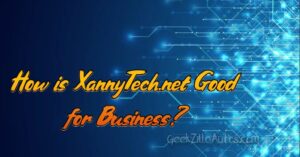 How is XannyTech.net Good for Business