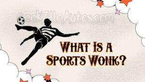 What Is a Sports Wonk